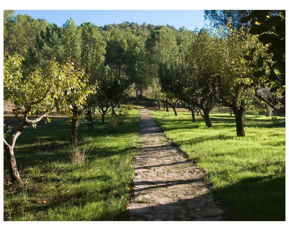 La Casita De Cabrejas Ξενοδοχείο Fuentenava De Jabaga Εξωτερικό φωτογραφία